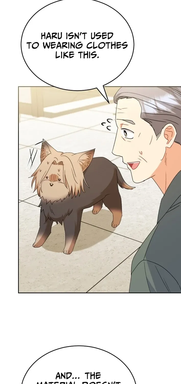 Read Hello, Mr. Veterinarian! chapter 104 image 17 on Lezhin