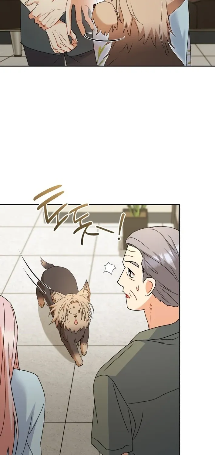 Read Hello, Mr. Veterinarian! chapter 104 image 26 on Lezhin