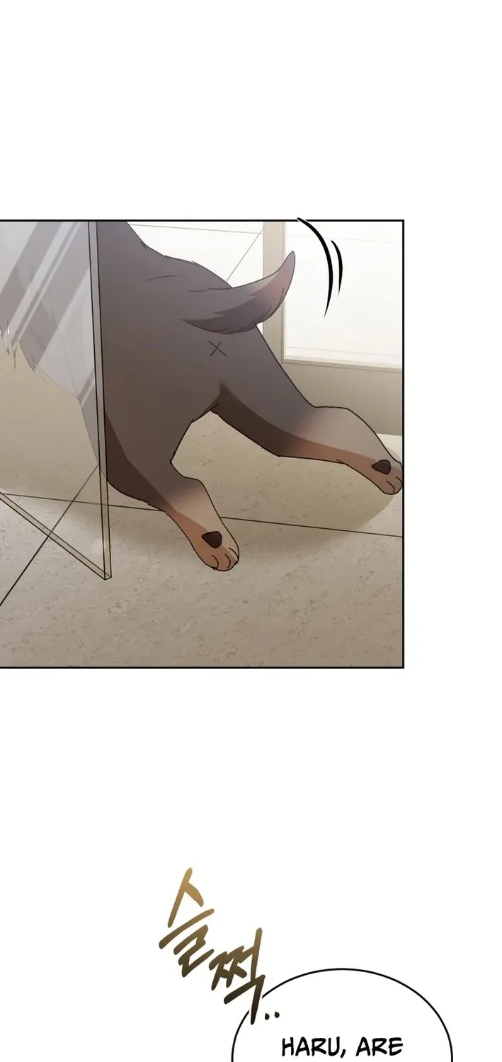 Read Hello, Mr. Veterinarian! chapter 104 image 34 on Lezhin