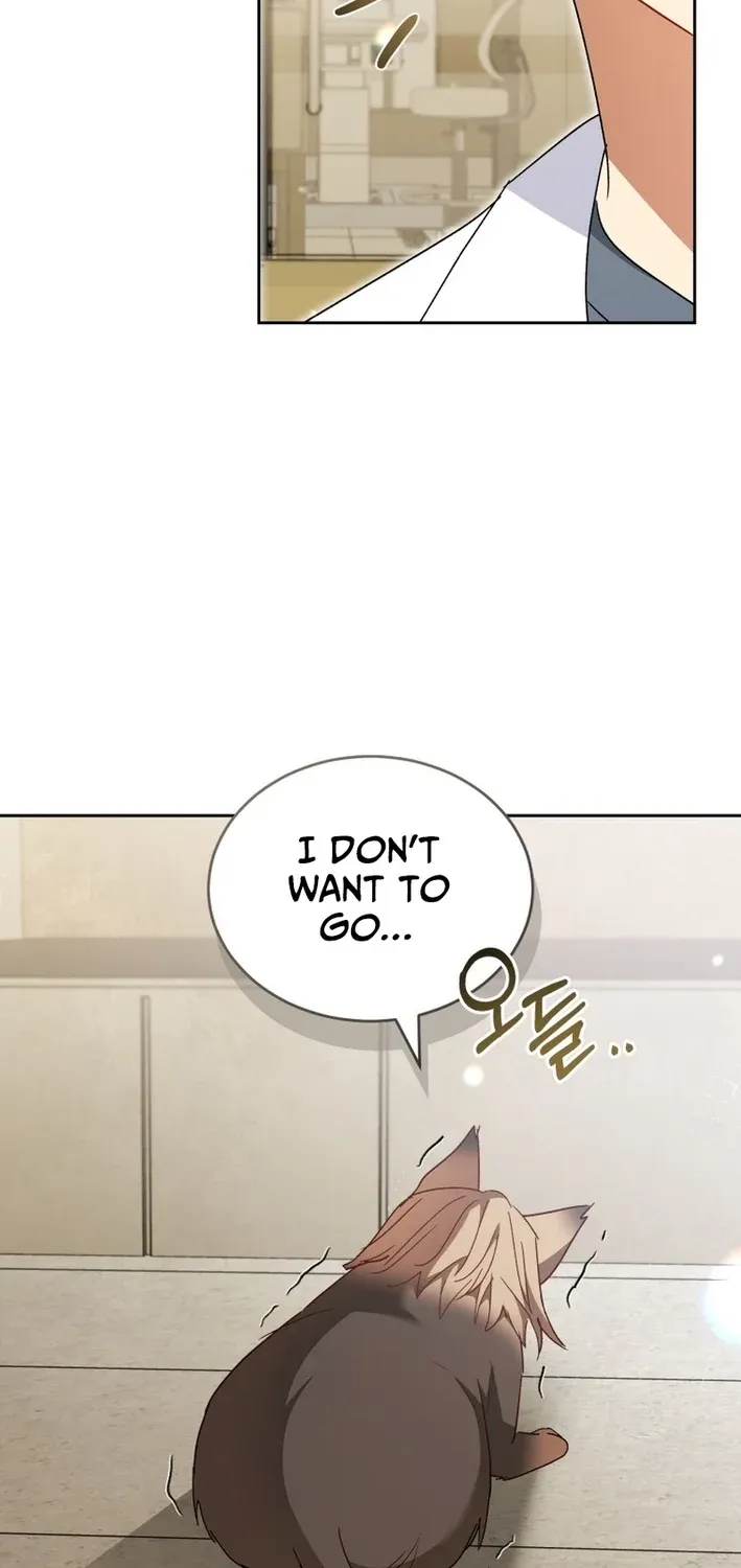 Read Hello, Mr. Veterinarian! chapter 104 image 37 on Lezhin