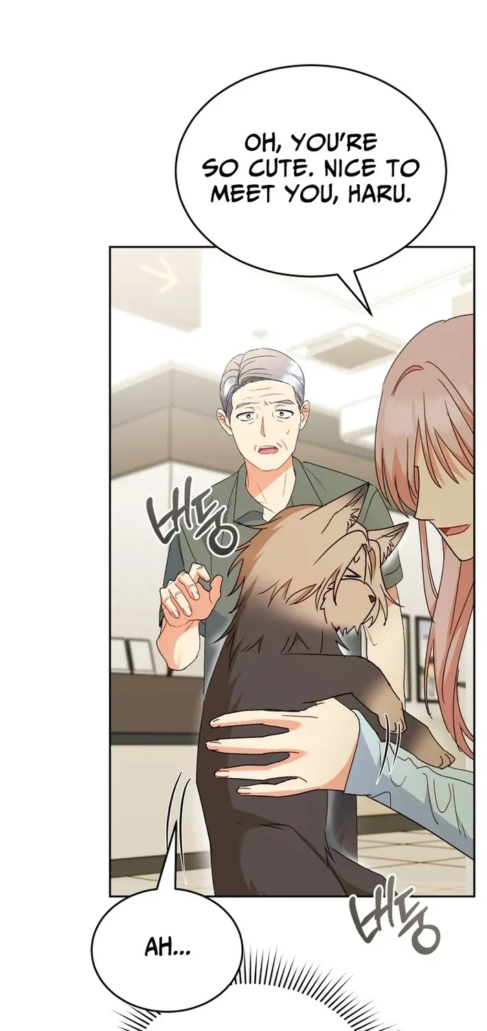 Read Hello, Mr. Veterinarian! chapter 104 image 4 on Lezhin