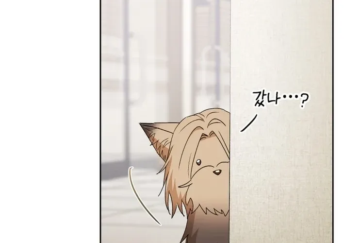 Read Hello, Mr. Veterinarian! chapter 104 image 55 on Lezhin