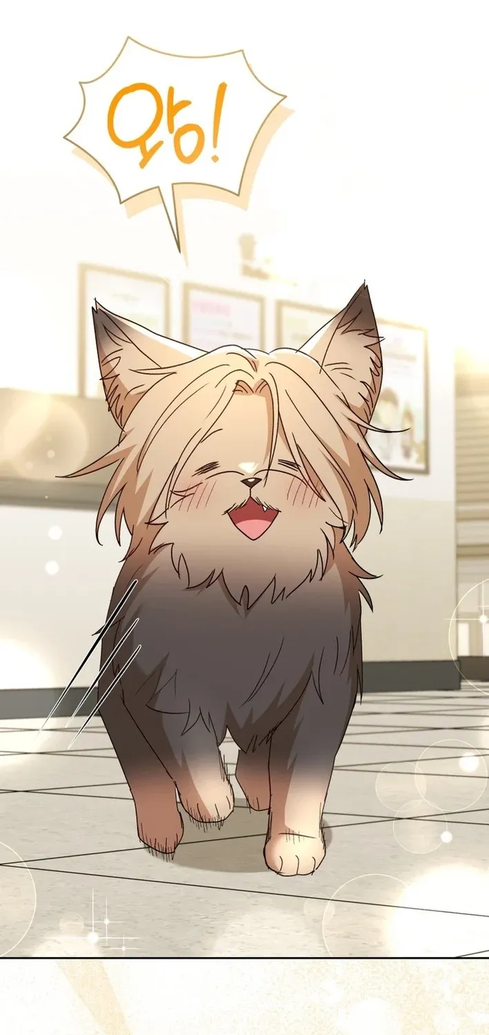 Read Hello, Mr. Veterinarian! chapter 104 image 68 on Lezhin