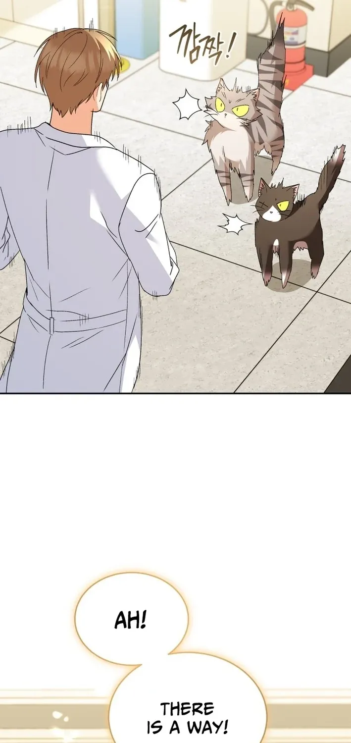 Read Hello, Mr. Veterinarian! chapter 105 image 44 on Lezhin