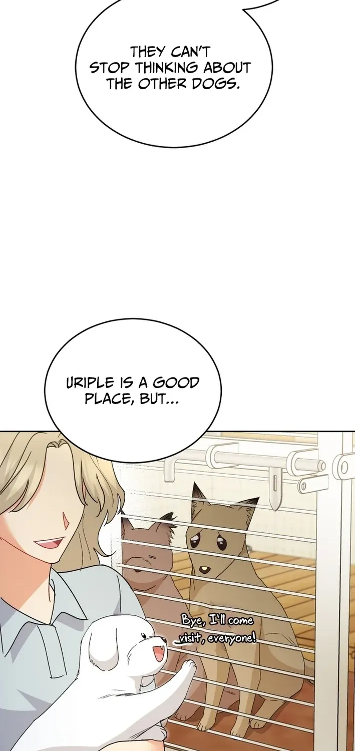 Read Hello, Mr. Veterinarian! chapter 106 image 41 on Lezhin