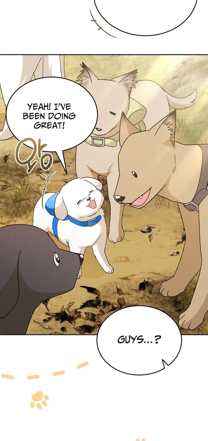 Read Hello, Mr. Veterinarian! chapter 106 image 65 on Lezhin