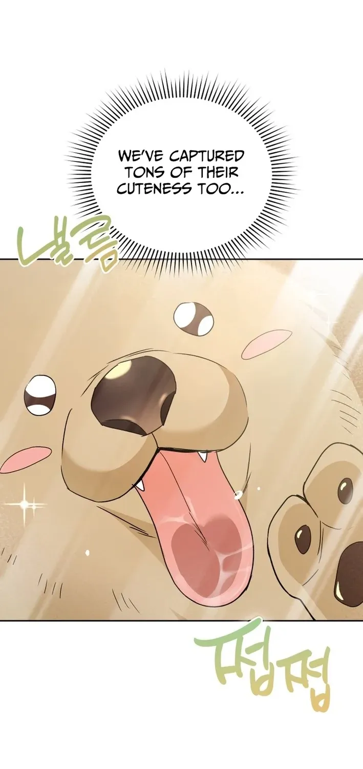 Read Hello, Mr. Veterinarian! chapter 106 image 84 on Lezhin