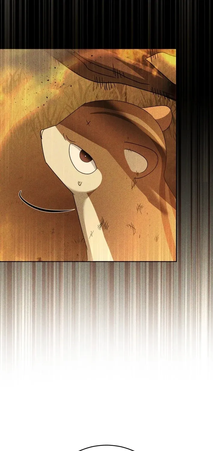 Read Hello, Mr. Veterinarian! chapter 107 image 72 on Lezhin