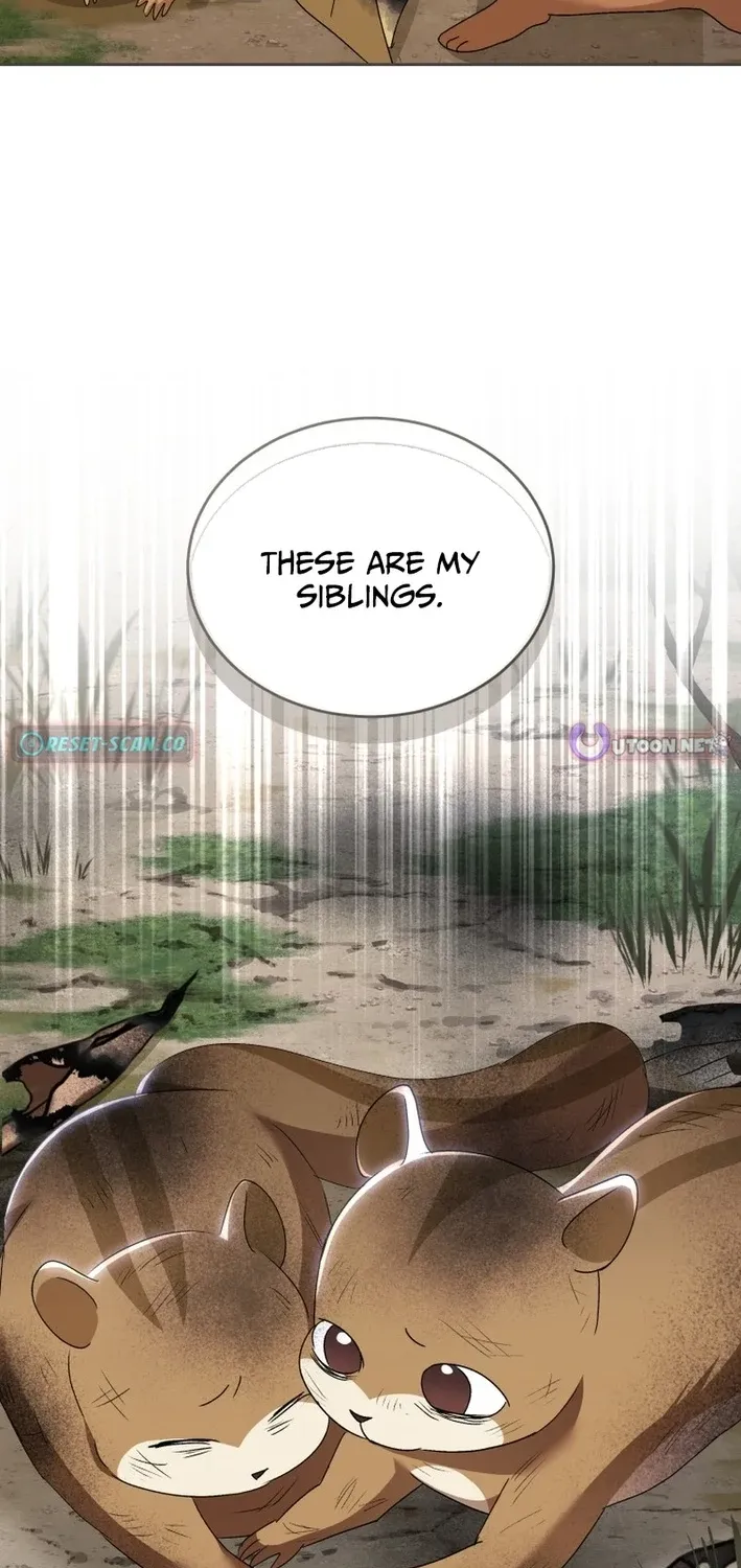 Read Hello, Mr. Veterinarian! chapter 108 image 5 on Lezhin