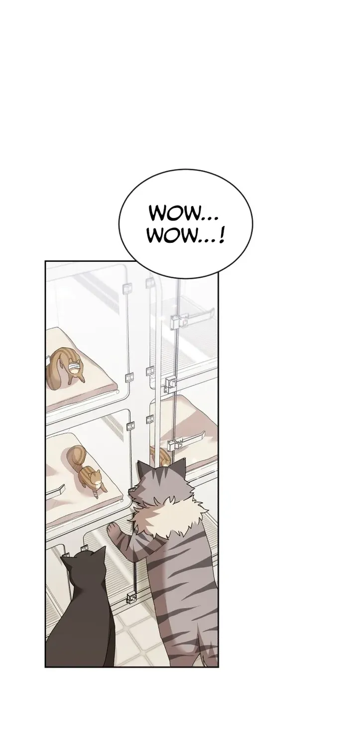 Read Hello, Mr. Veterinarian! chapter 109 image 36 on Lezhin