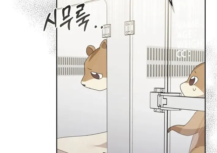 Read Hello, Mr. Veterinarian! chapter 109 image 43 on Lezhin