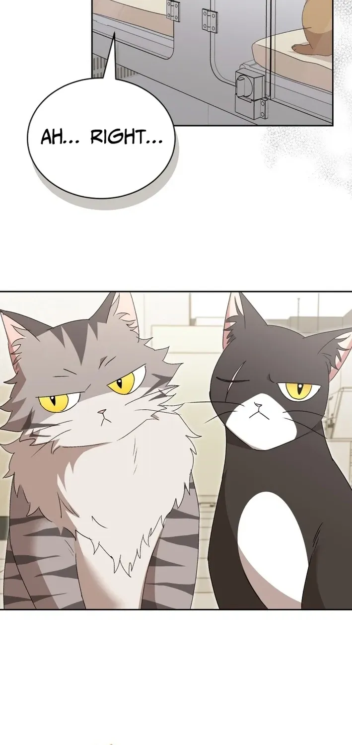 Read Hello, Mr. Veterinarian! chapter 109 image 44 on Lezhin
