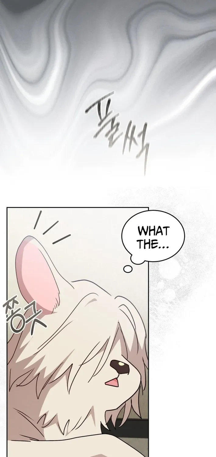 Read Hello, Mr. Veterinarian! chapter 109 image 57 on Lezhin