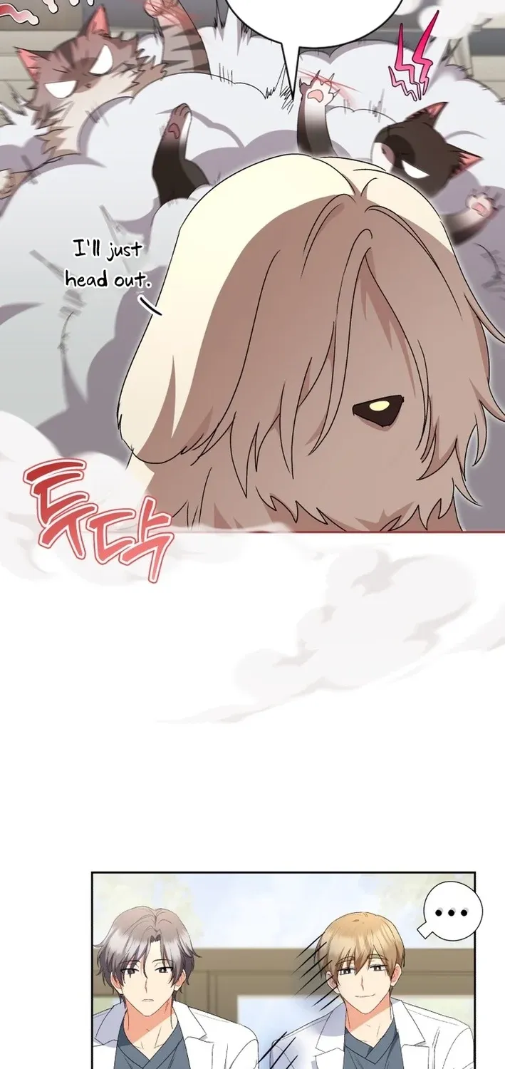 Read Hello, Mr. Veterinarian! chapter 111 image 18 on Lezhin
