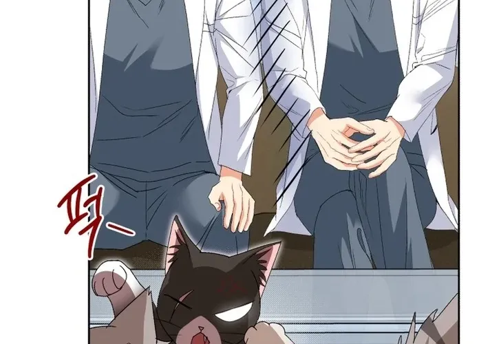 Read Hello, Mr. Veterinarian! chapter 111 image 19 on Lezhin