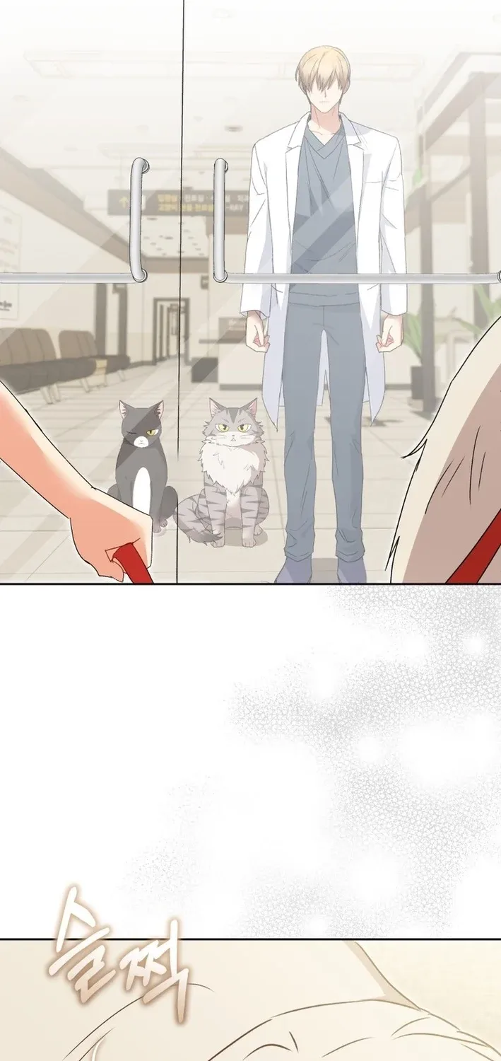 Read Hello, Mr. Veterinarian! chapter 112 image 46 on Lezhin