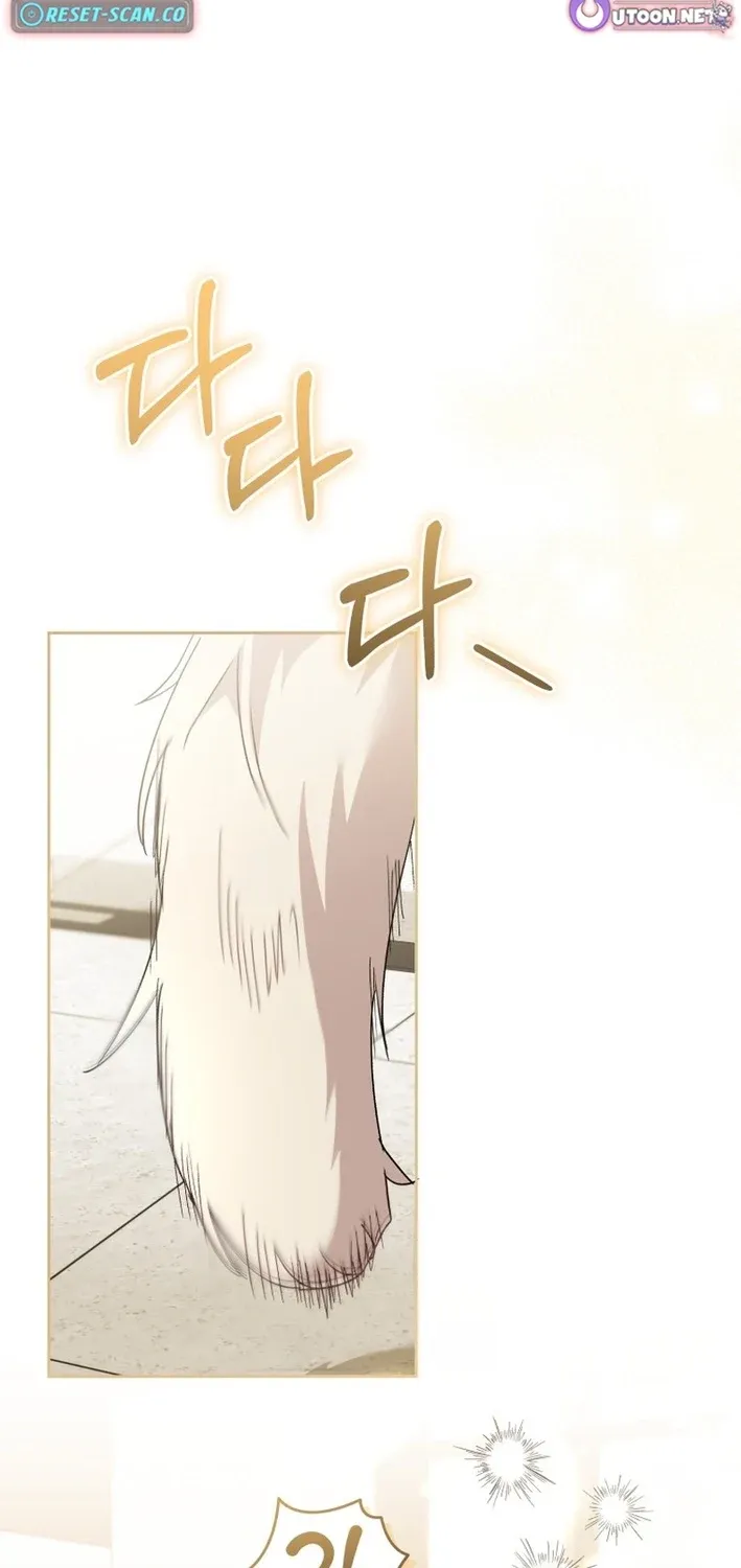 Read Hello, Mr. Veterinarian! chapter 112 image 64 on Lezhin