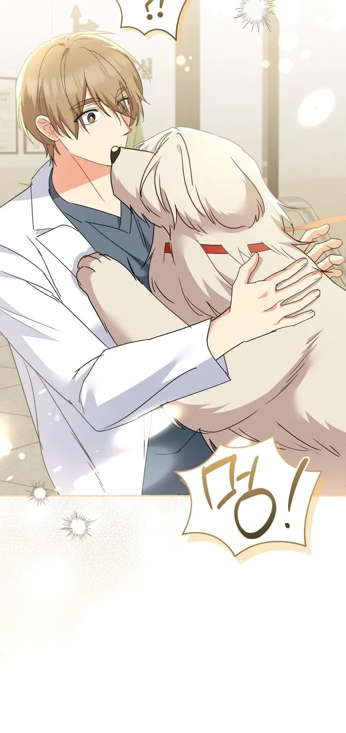 Read Hello, Mr. Veterinarian! chapter 112 image 65 on Lezhin