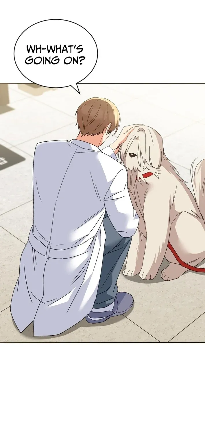 Read Hello, Mr. Veterinarian! chapter 112 image 66 on Lezhin