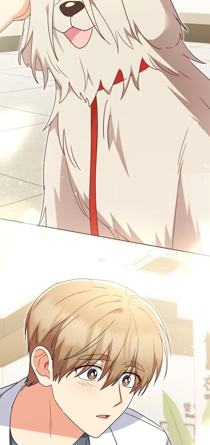 Read Hello, Mr. Veterinarian! chapter 112 image 68 on Lezhin