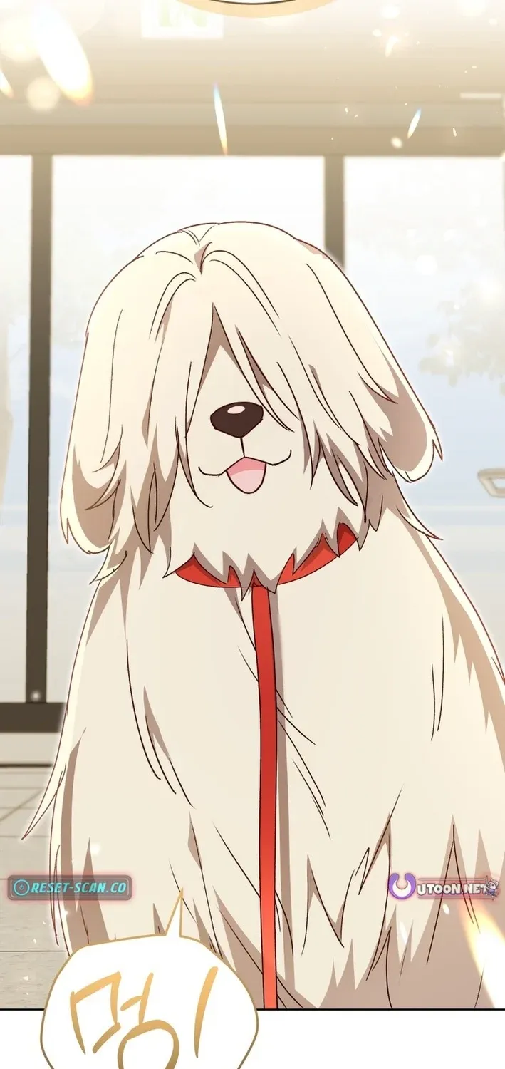 Read Hello, Mr. Veterinarian! chapter 112 image 72 on Lezhin