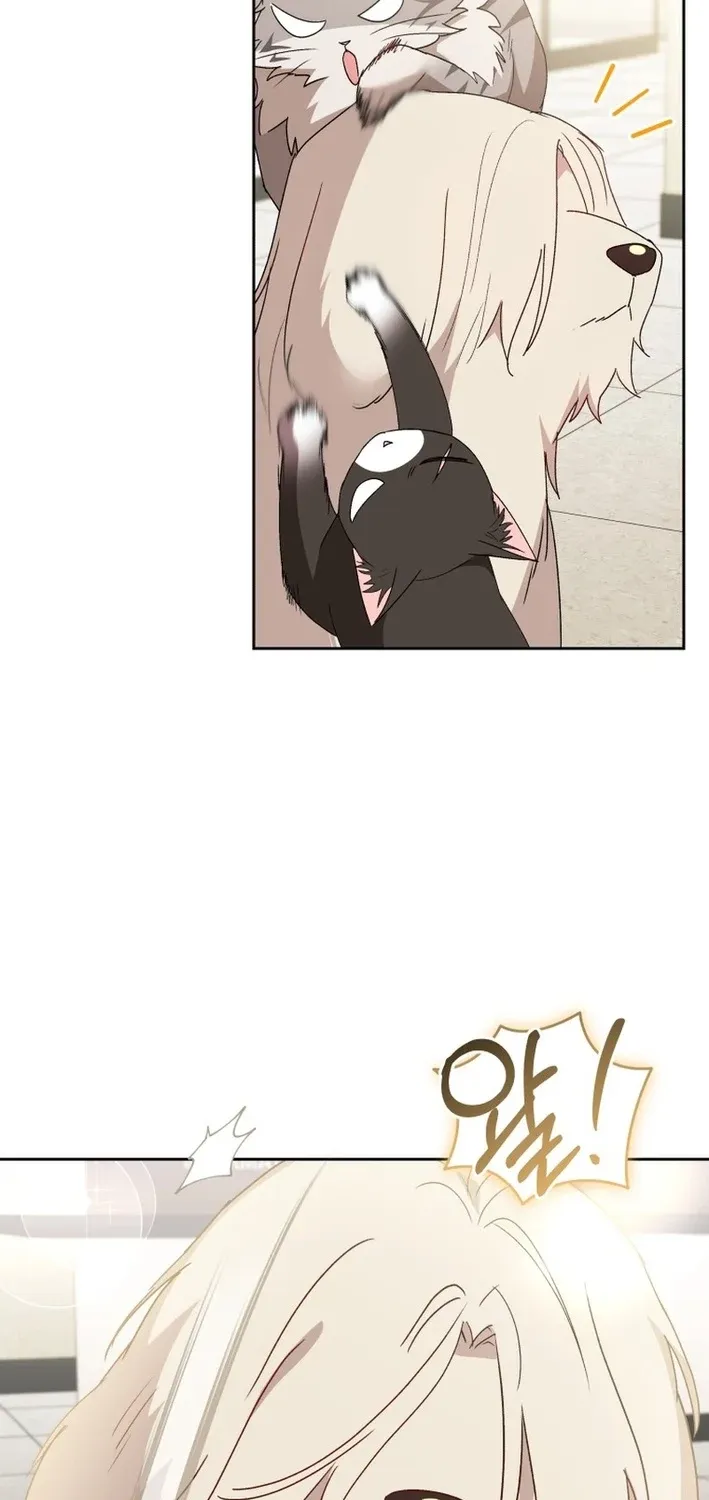 Read Hello, Mr. Veterinarian! chapter 112 image 82 on Lezhin
