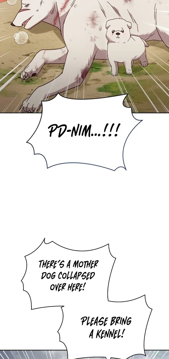 Read Hello, Mr. Veterinarian! chapter 113 image 52 on Lezhin