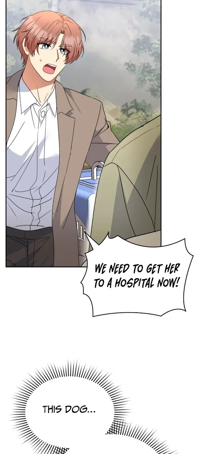 Read Hello, Mr. Veterinarian! chapter 113 image 54 on Lezhin