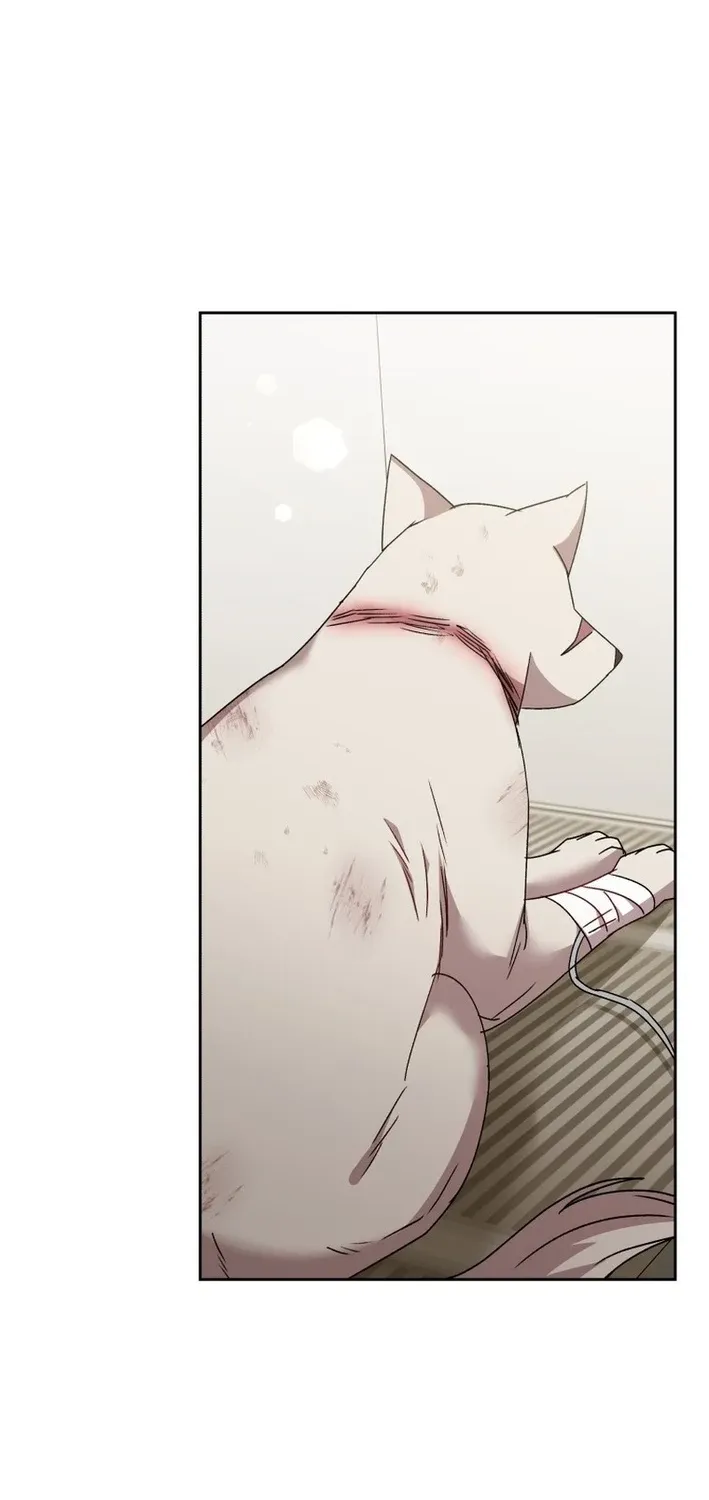 Read Hello, Mr. Veterinarian! chapter 113 image 61 on Lezhin