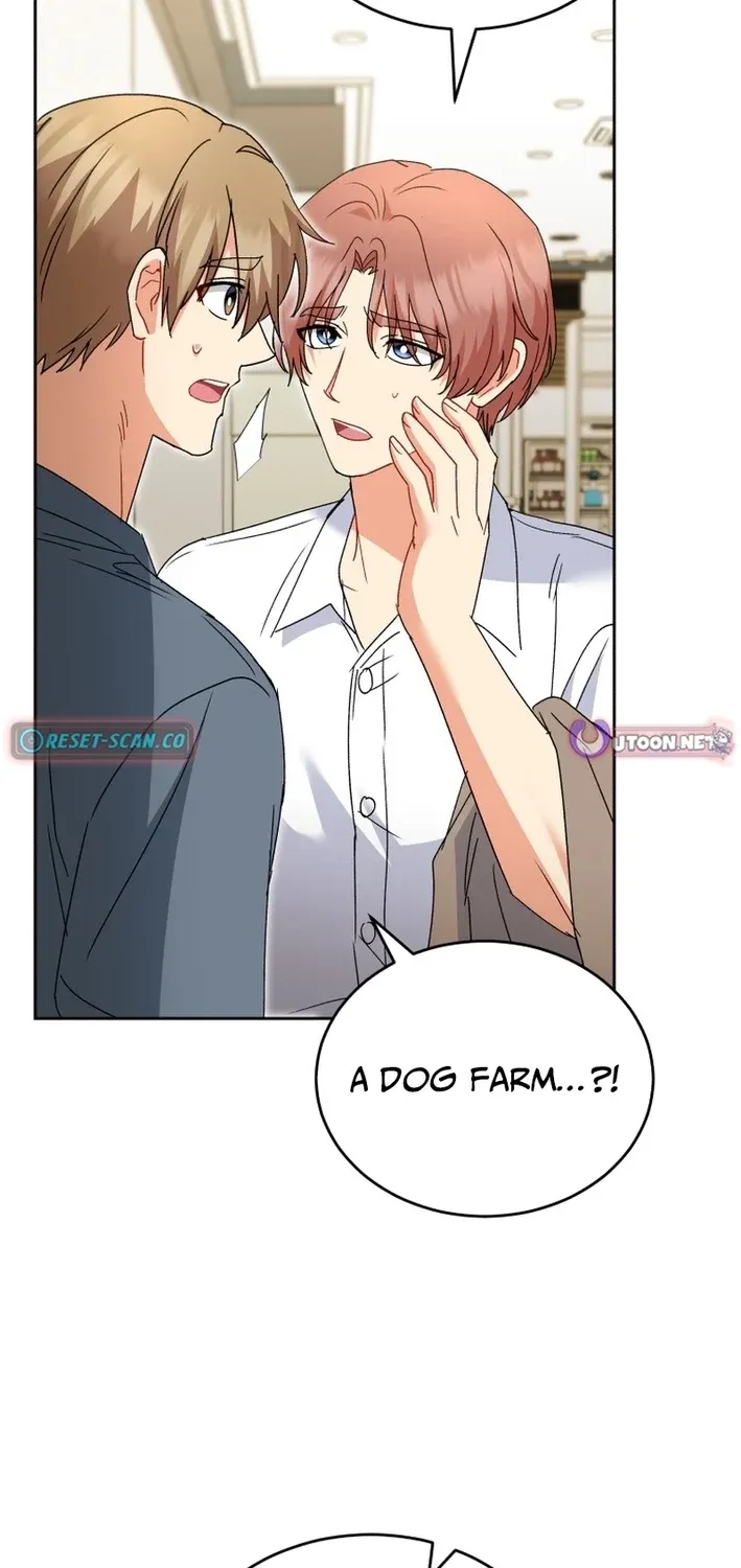 Read Hello, Mr. Veterinarian! chapter 113 image 72 on Lezhin