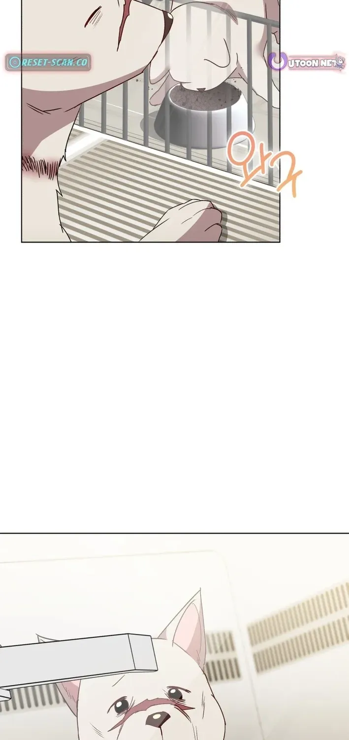 Read Hello, Mr. Veterinarian! chapter 113 image 84 on Lezhin