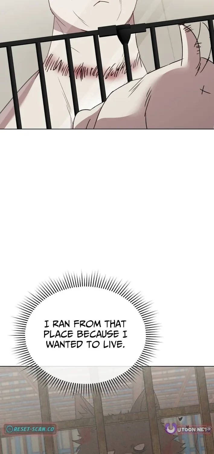 Read Hello, Mr. Veterinarian! chapter 113 image 85 on Lezhin