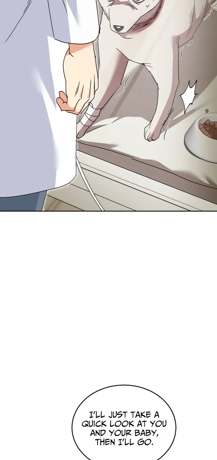 Read Hello, Mr. Veterinarian! chapter 114 image 49 on Lezhin