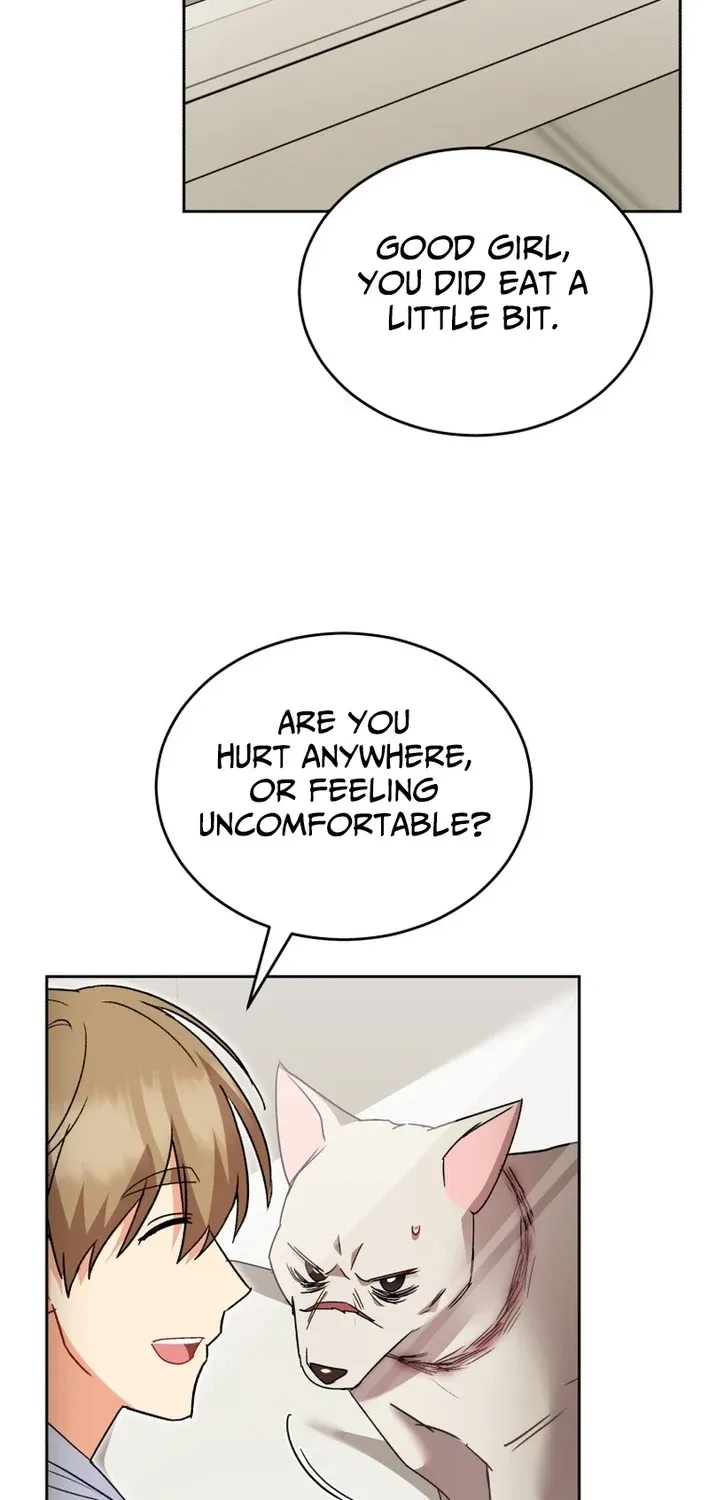 Read Hello, Mr. Veterinarian! chapter 114 image 52 on Lezhin