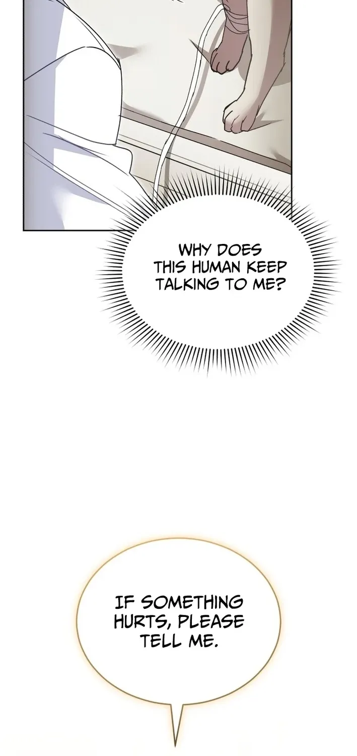 Read Hello, Mr. Veterinarian! chapter 114 image 53 on Lezhin