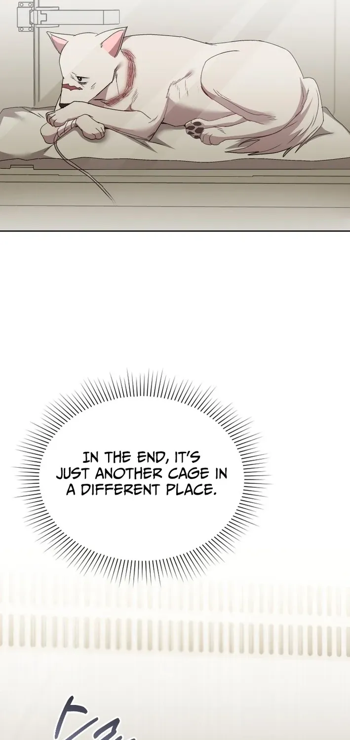 Read Hello, Mr. Veterinarian! chapter 115 image 68 on Lezhin