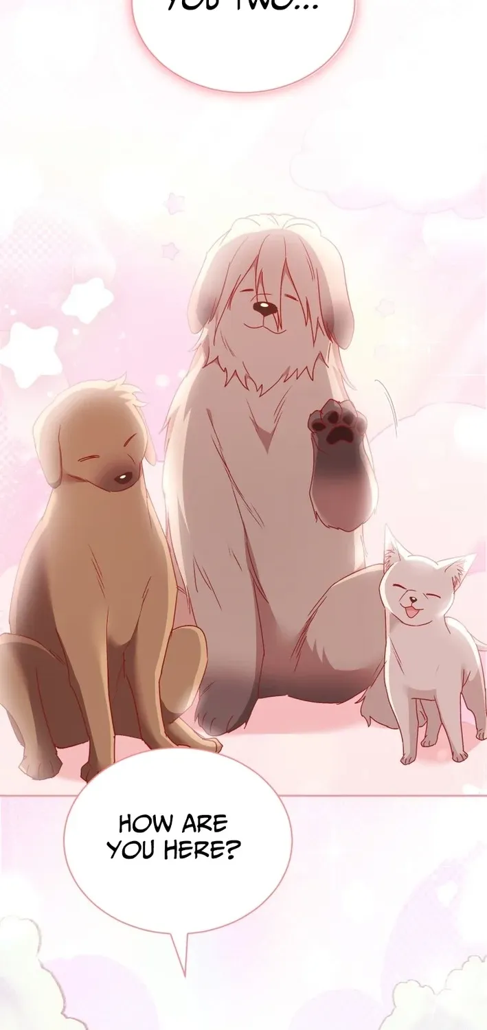 Read Hello, Mr. Veterinarian! chapter 115 image 74 on Lezhin