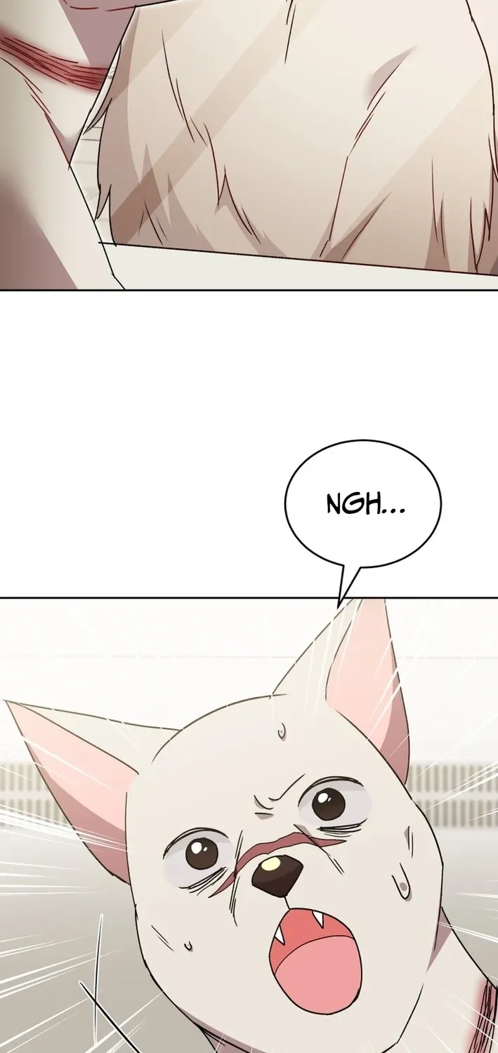 Read Hello, Mr. Veterinarian! chapter 115 image 82 on Lezhin