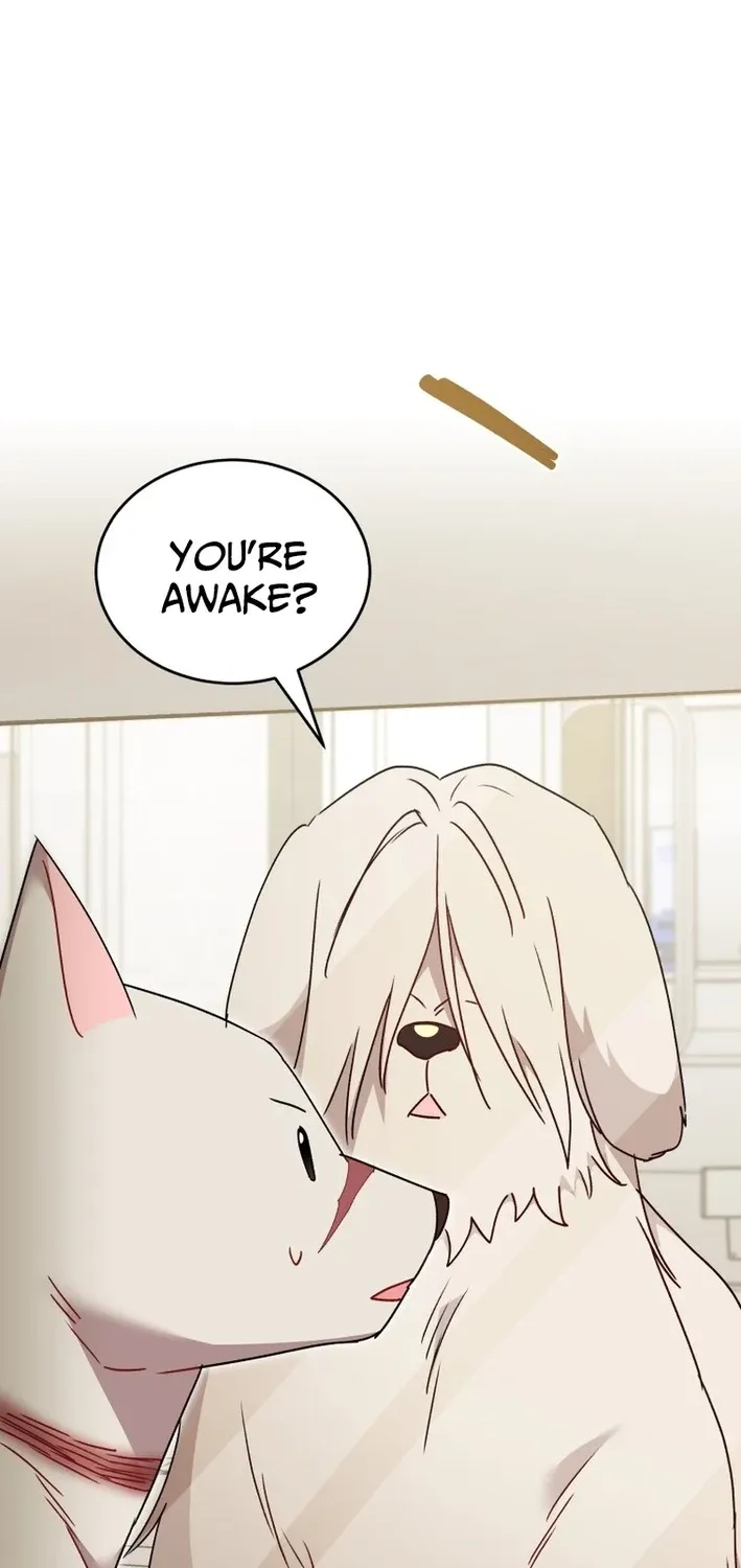 Read Hello, Mr. Veterinarian! chapter 116 image 1 on Lezhin