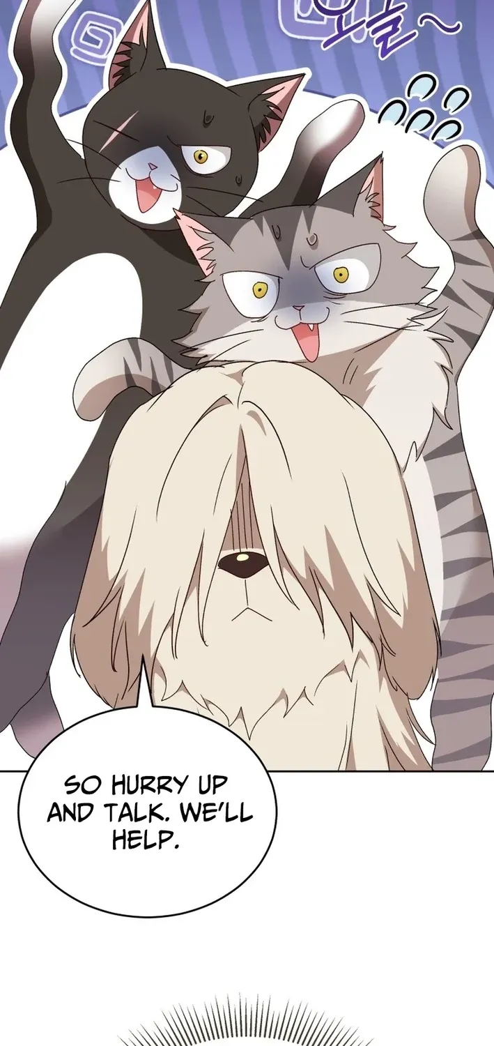 Read Hello, Mr. Veterinarian! chapter 116 image 16 on Lezhin