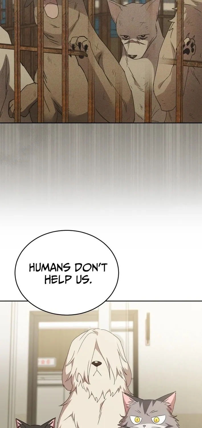 Read Hello, Mr. Veterinarian! chapter 116 image 22 on Lezhin
