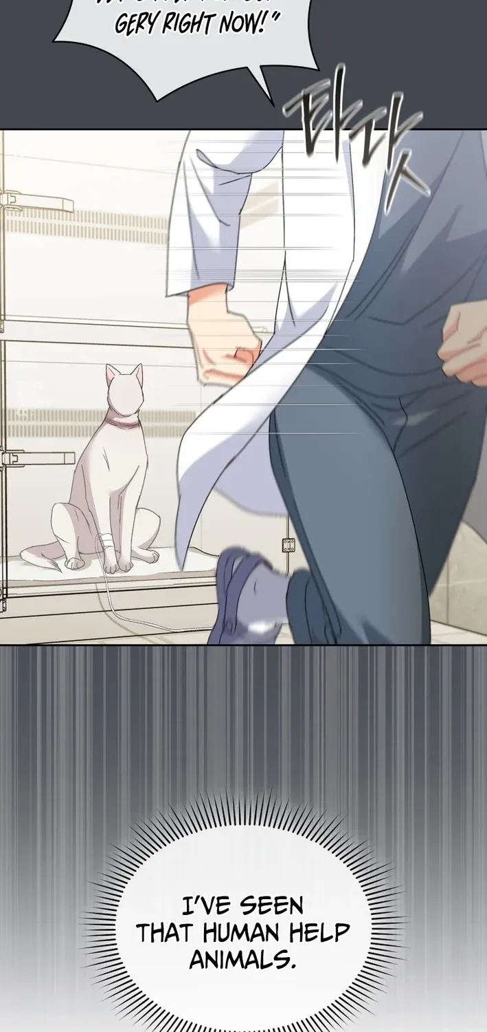 Read Hello, Mr. Veterinarian! chapter 116 image 34 on Lezhin