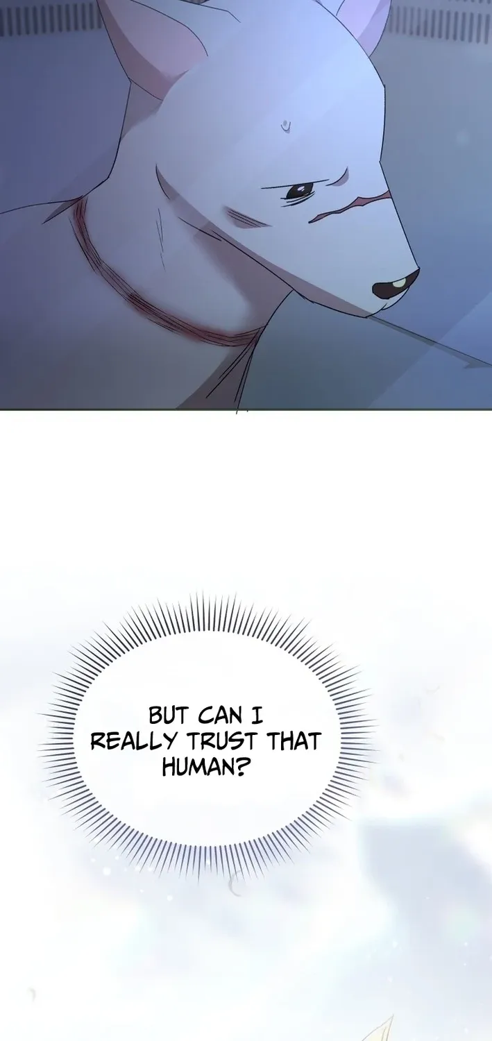 Read Hello, Mr. Veterinarian! chapter 116 image 36 on Lezhin