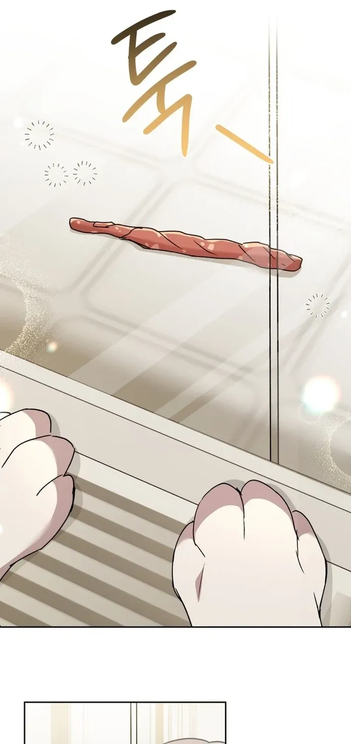 Read Hello, Mr. Veterinarian! chapter 116 image 40 on Lezhin