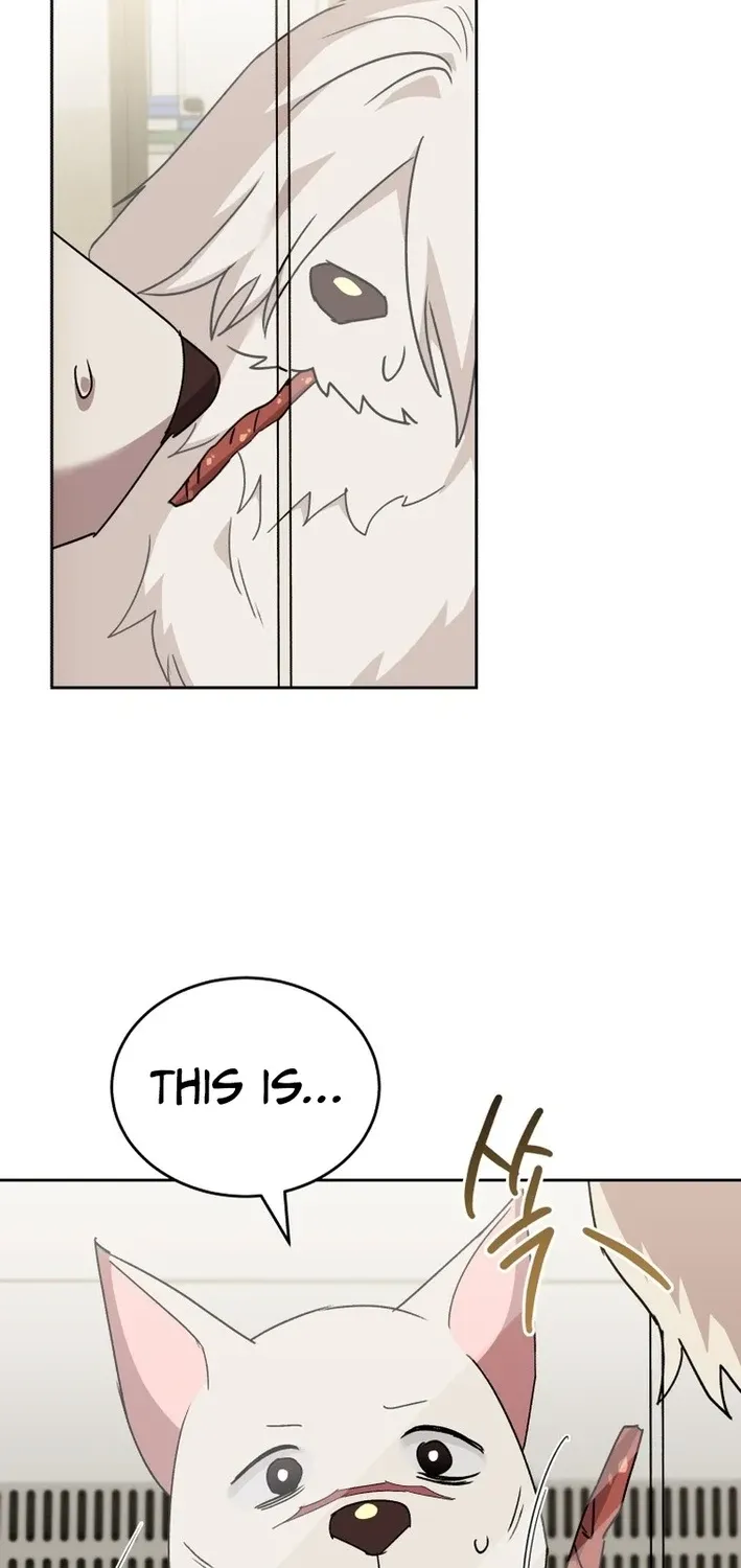 Read Hello, Mr. Veterinarian! chapter 116 image 41 on Lezhin