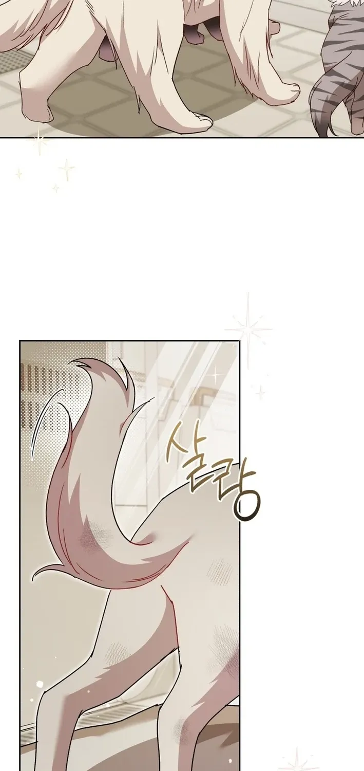 Read Hello, Mr. Veterinarian! chapter 116 image 49 on Lezhin