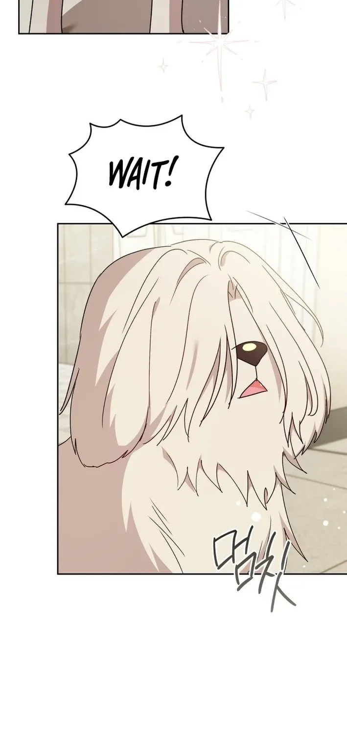Read Hello, Mr. Veterinarian! chapter 116 image 50 on Lezhin