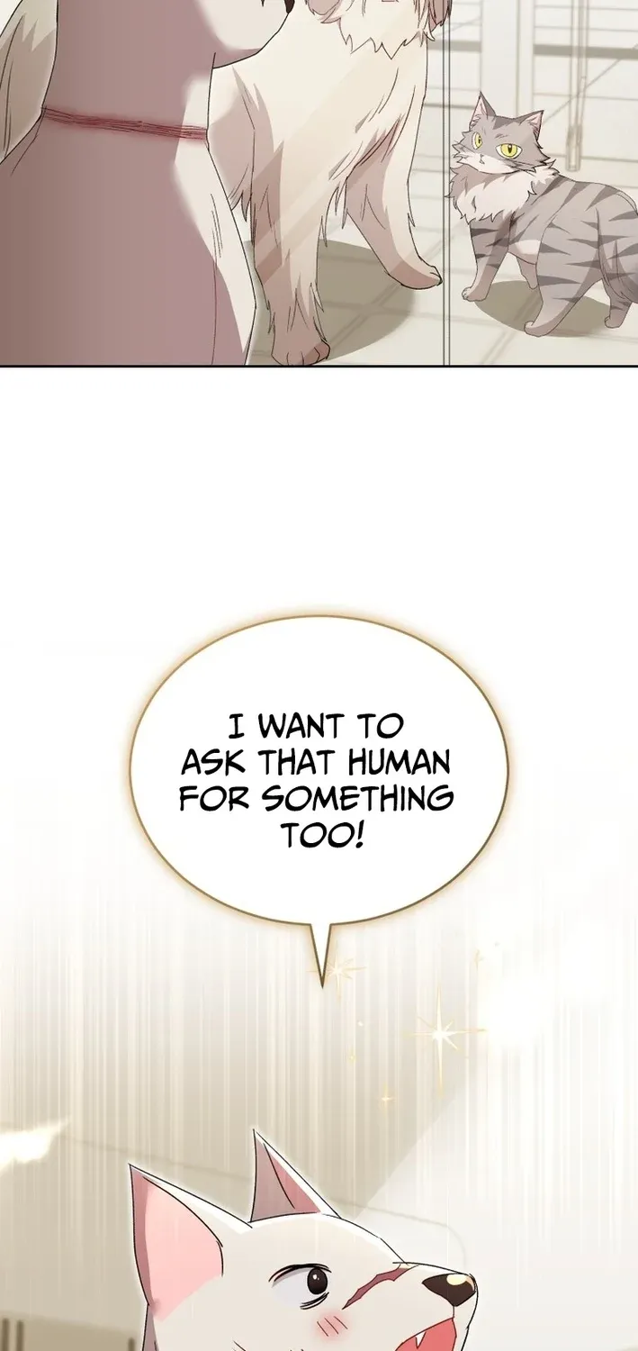 Read Hello, Mr. Veterinarian! chapter 116 image 52 on Lezhin
