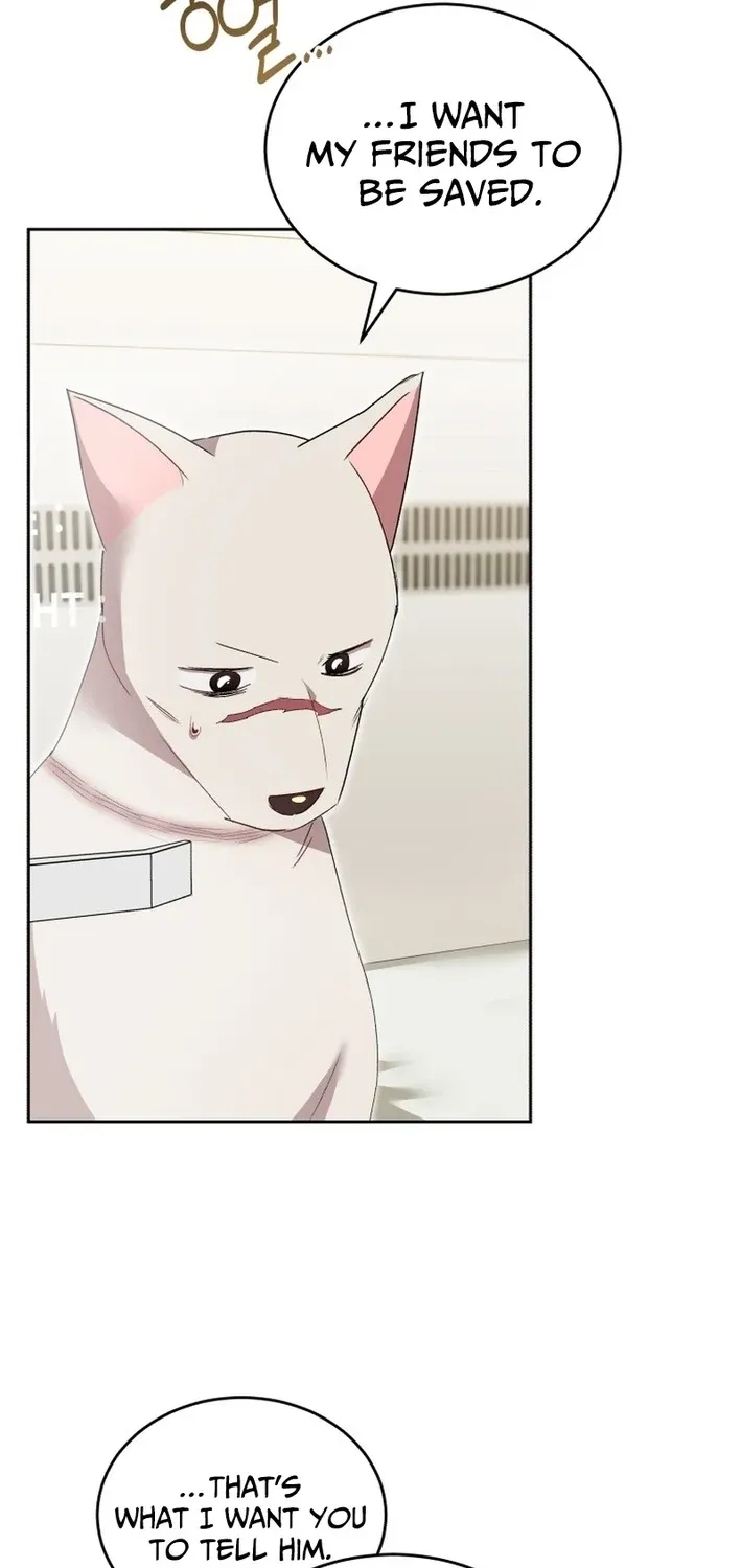 Read Hello, Mr. Veterinarian! chapter 116 image 57 on Lezhin