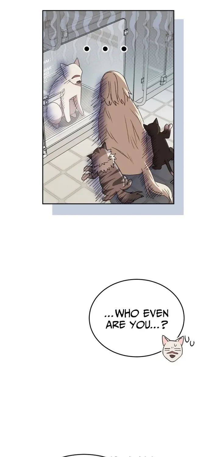 Read Hello, Mr. Veterinarian! chapter 116 image 6 on Lezhin